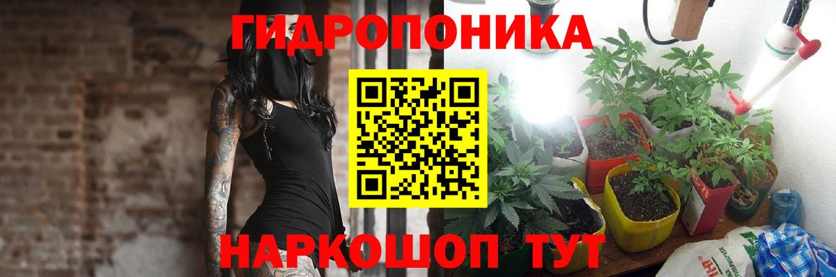 Бошки Шишки марихуана  Шишки марихуана планчик  Вход с VPN  Чебоксары 